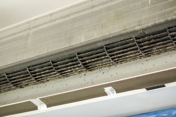 Best HVAC Duct Inspection Services  in Evergreen, MT